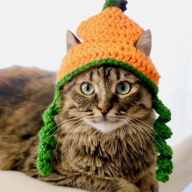 Halloween Cat Dog Knitted Pet Hat (Option: Pumpkin Hat-S)