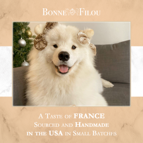 Dog Macarons - Count of 6 (Dog Treats | Dog Gifts) (Flavor: Peanut Butter)