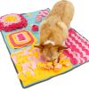 Pet Life 'Sniffer Snack' Interactive Feeding Pet Snuffle Mat